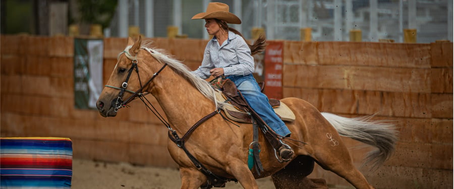The Perfect Run: Inside the World of Barrel Racing