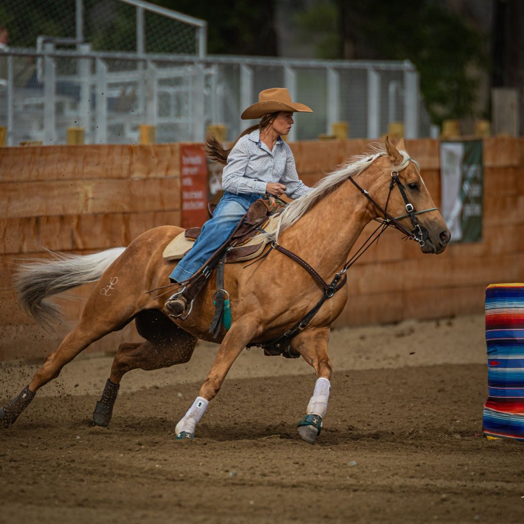 Rachel Webster riding her horse in an arena and racing around a barrel.